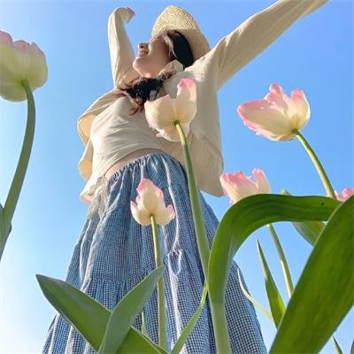 碧姬达蕙花